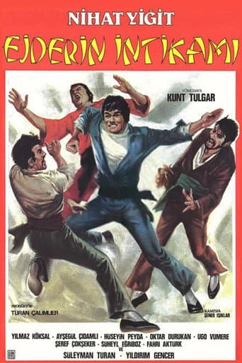 Ejderin İntikamı poster