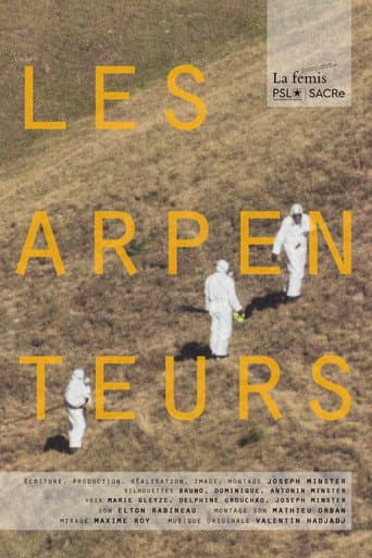 Land Surveyors poster