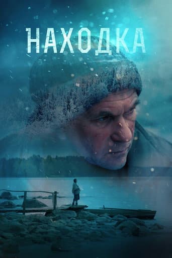 The Find poster