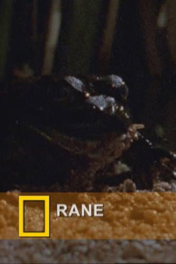 Fearsome Frogs poster