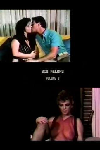 Big Melons 3 poster