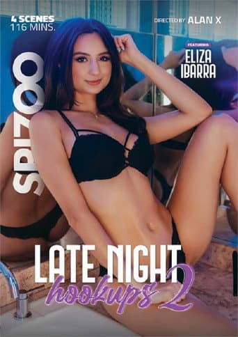 Late Night Hookups 2 poster