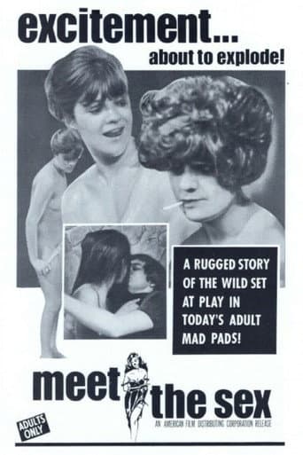 Meet The Sex poster