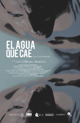 The Falling Water poster