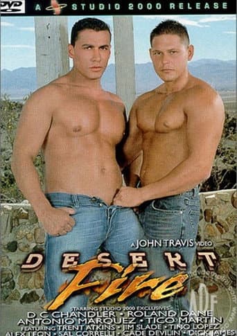 Desert Fire poster