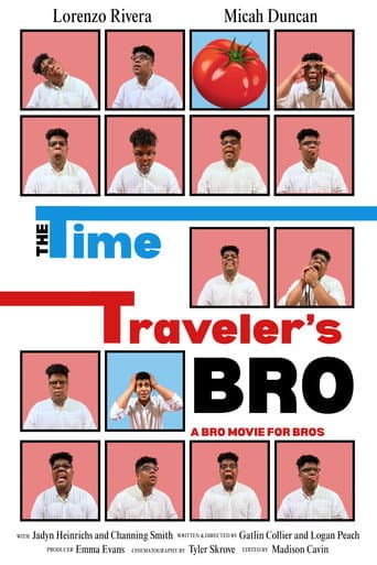 The Time Traveler's Bro poster