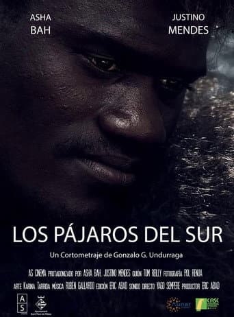 Los Pájaros del Sur poster