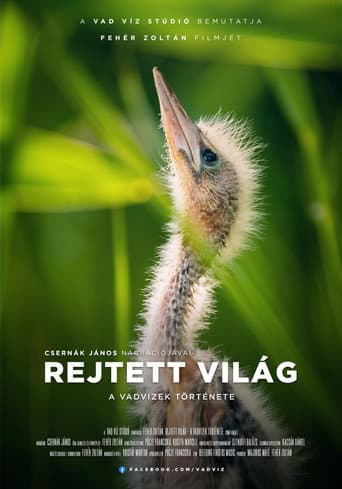 Hidden World: The Story of Hungary's Wild Waters poster