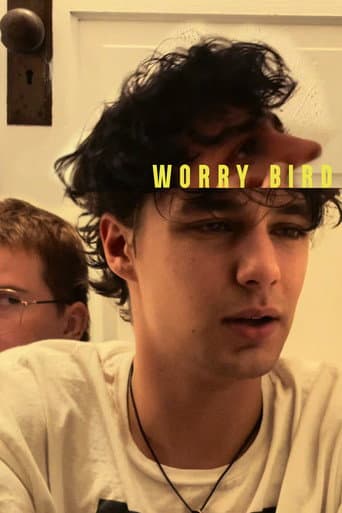Worry Bird poster