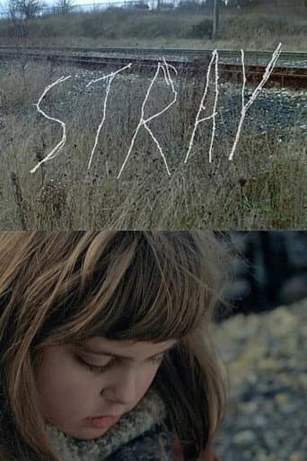Stray poster