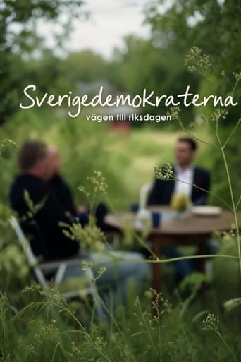 Sverigedemokraterna - vägen till riksdagen poster