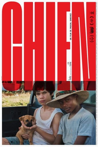Dog poster
