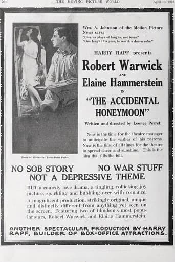 The Accidental Honeymoon poster