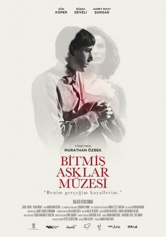 The Museum of Broken Love poster