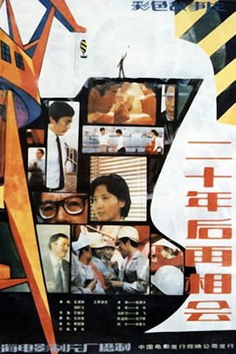 Meeting 20 Years Later poster