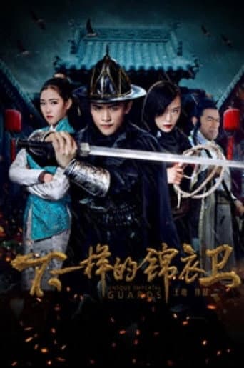不一样的锦衣卫 poster