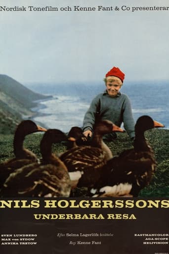 Wonderful Adventures of Nils poster