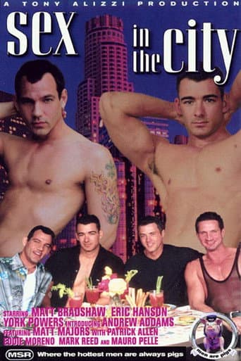 Sex in the City poster