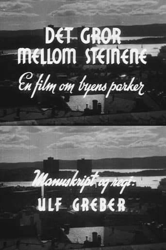 Oslofilm: Det gror mellom steinene poster