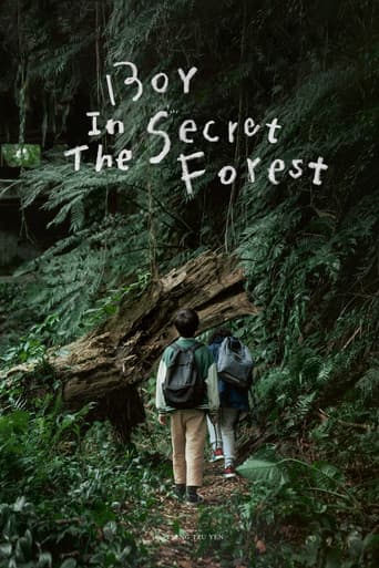 Boy in the Secret Forest poster