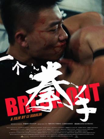 一个拳手 poster