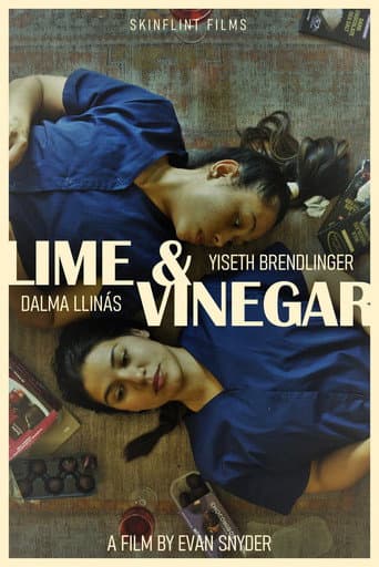 Lime & Vinegar poster