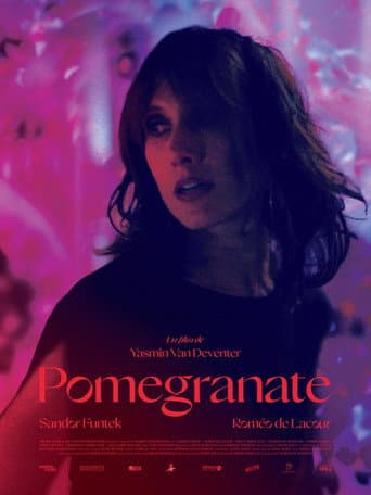 Pomegranate poster