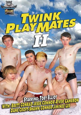 Twink Playmates 2 poster