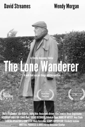 The Lone Wanderer poster