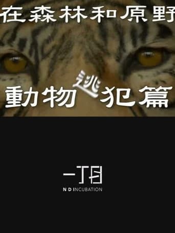 In the Forest and the Wilderness—The Animal Fugitives poster