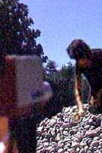 Rock Garden poster