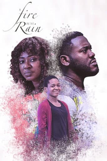 A Fire In The Rain poster