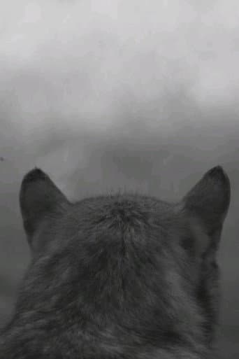 From the Mountain poster