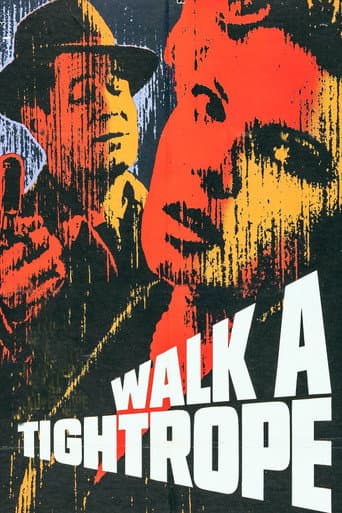 Walk a Tightrope poster