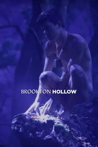 Brookton Hollow poster
