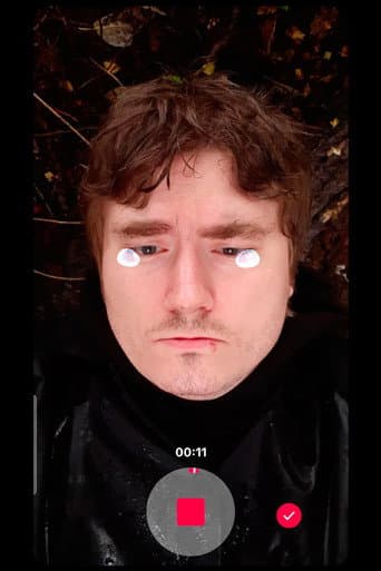 Self-Portrait at Thirty poster