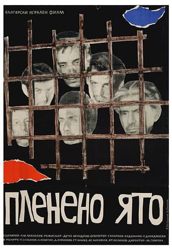 Captive Flock poster