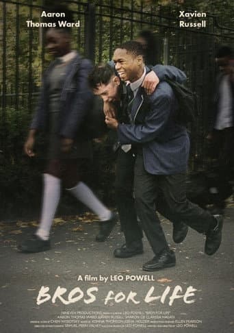 Bros for Life poster