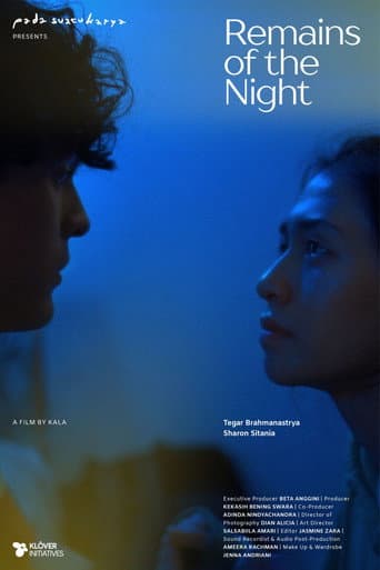 Remains of the Night poster