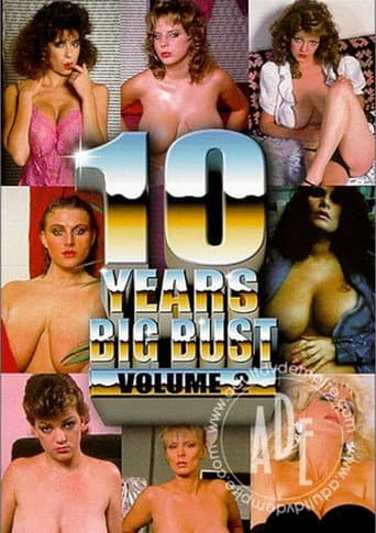 10 Years Big Bust Vol.2 poster