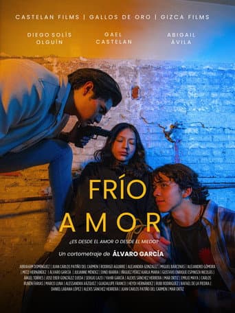Frío Amor poster