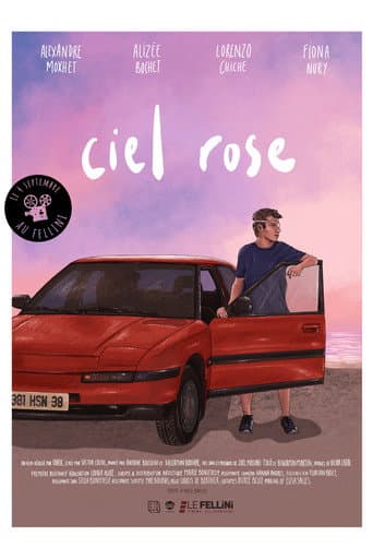 Summer Skies poster