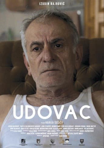 The Widower poster