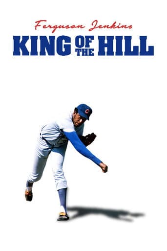 King of the Hill poster