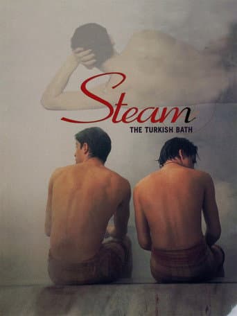 Steam: The Turkish Bath poster
