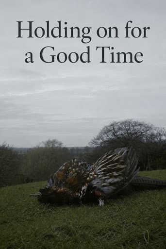 Holding on for a Good Time poster