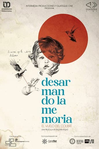 Desarmando la Memoria : El Vuelo del Colibrí poster