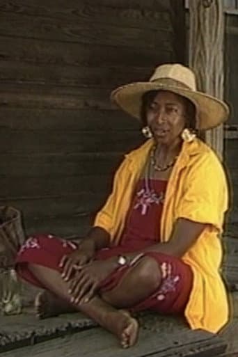 Visions of the Spirit: A Portrait of Alice Walker poster