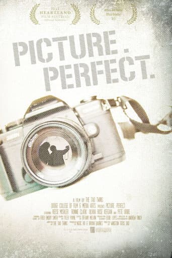 Picture. Perfect. poster