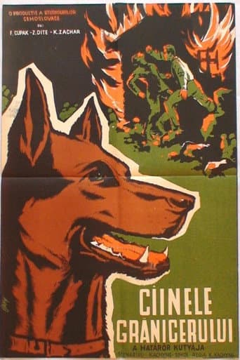 Ztracená stopa poster
